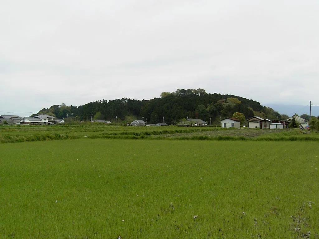 甘樫丘